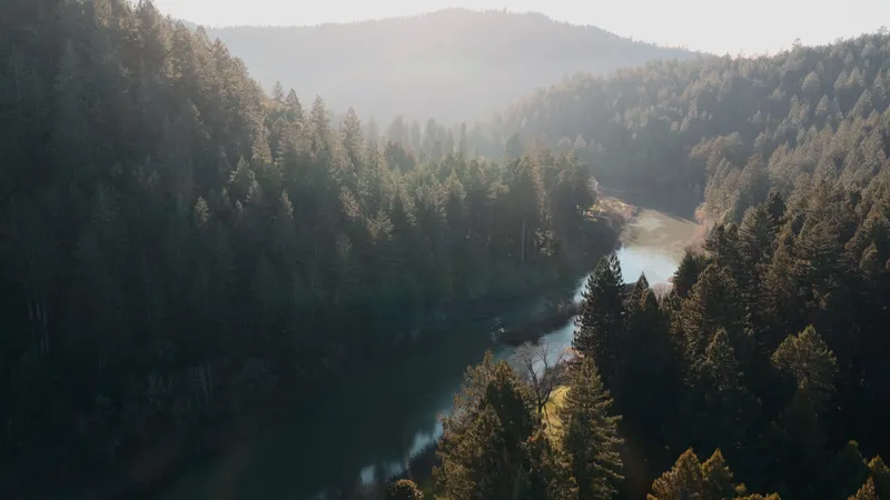 DJI_20260125104453_0001_D