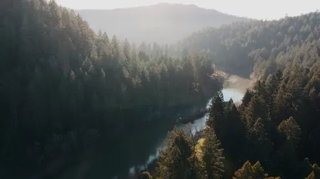A river winding through misty Oregon forest